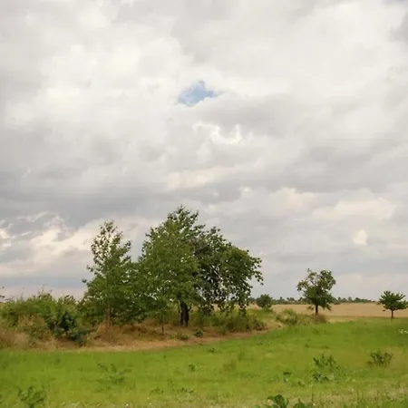 דירה Nature Escape In Meisdorf, Cleaning Included *