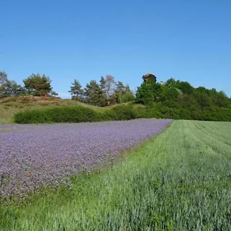 דירה Nature Escape In Meisdorf, Cleaning Included Meisdorf