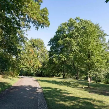 Nature Escape In Meisdorf, Cleaning Included * Meisdorf