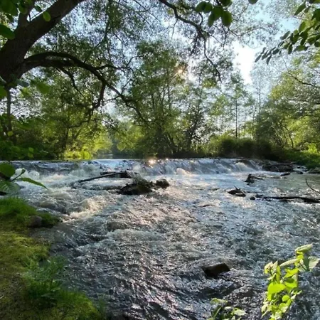 Nature Escape In Meisdorf, Cleaning Included דירה Meisdorf