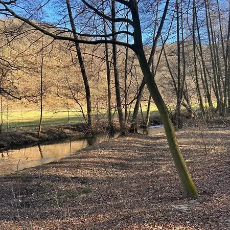 Nature Escape In Meisdorf, Cleaning Included Meisdorf