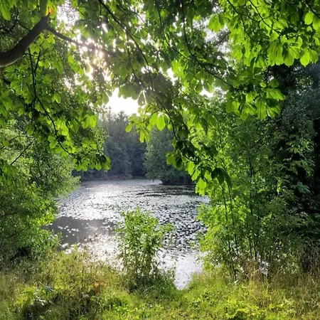 דירה Nature Escape In Meisdorf, Cleaning Included *